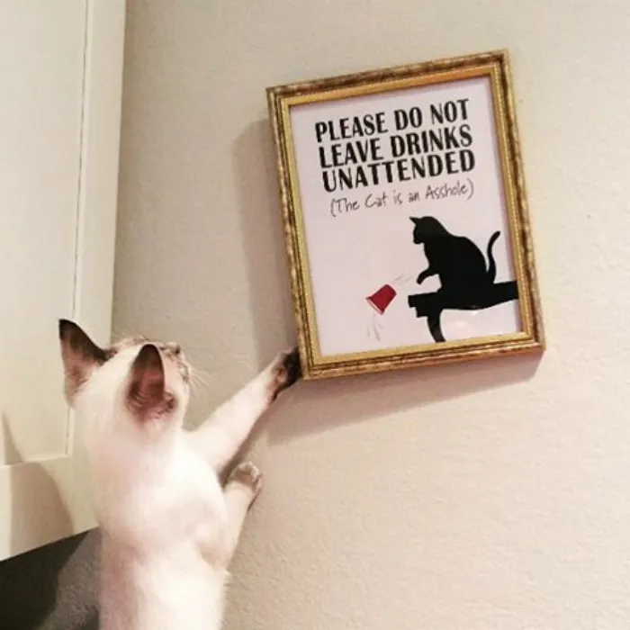 Zero F*cks Given