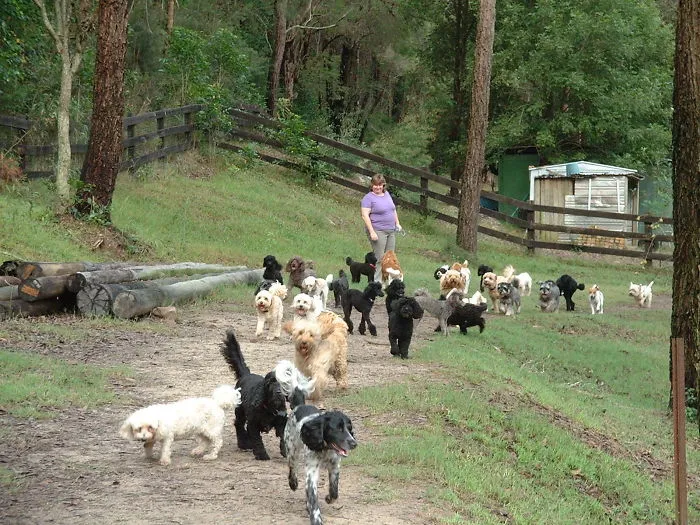 Walking The Family