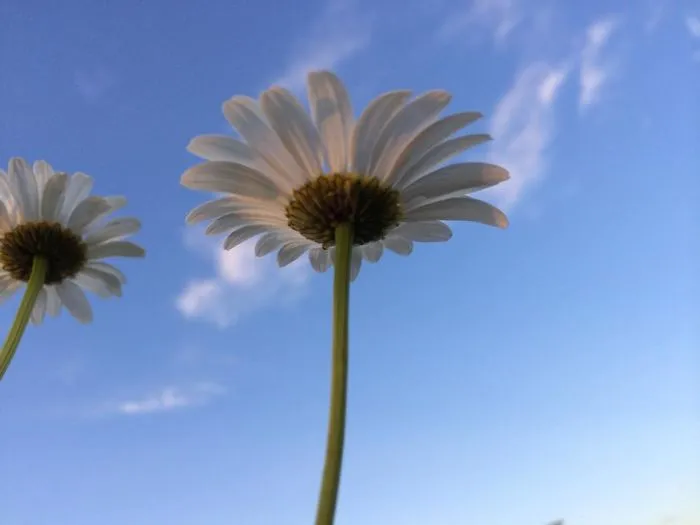 Our Beautiful World