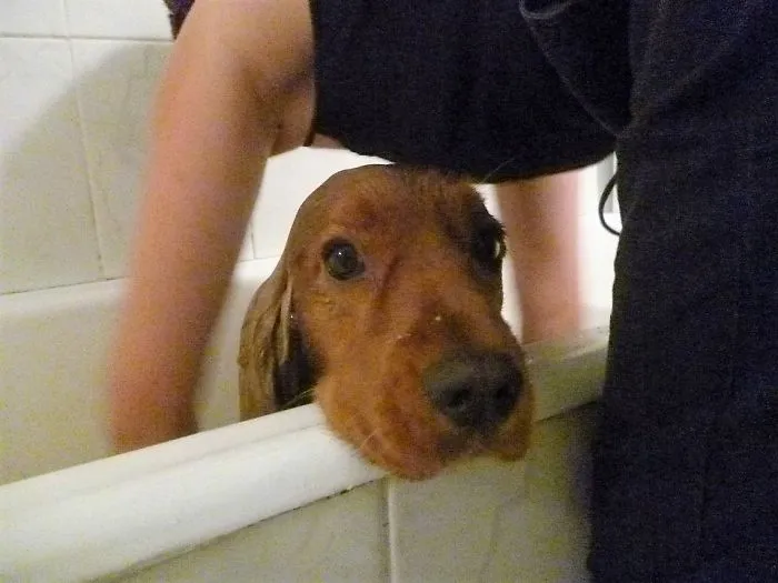 I Trusted You...