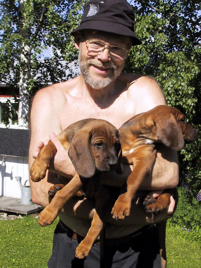 Three Hound Dogs