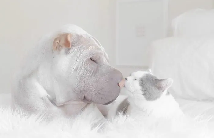 Best Friends