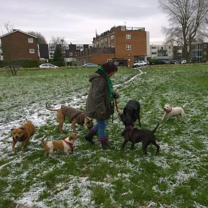 Walkies