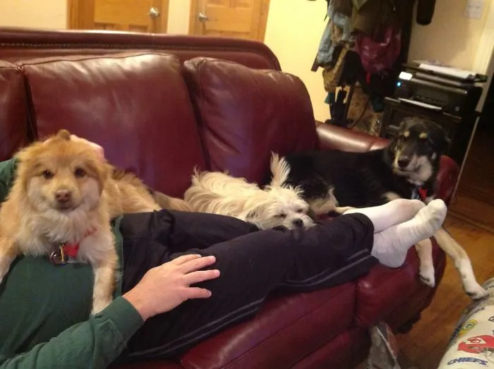 Saturday Afternoon Nap