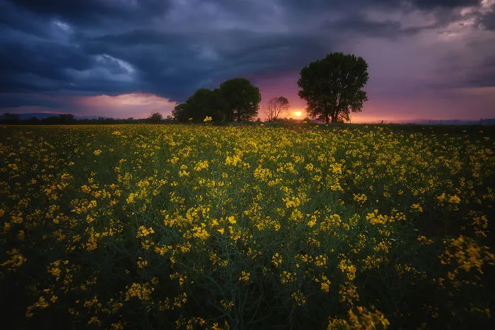 I Photograph The Undiscovered Beauty Of Bulgaria
