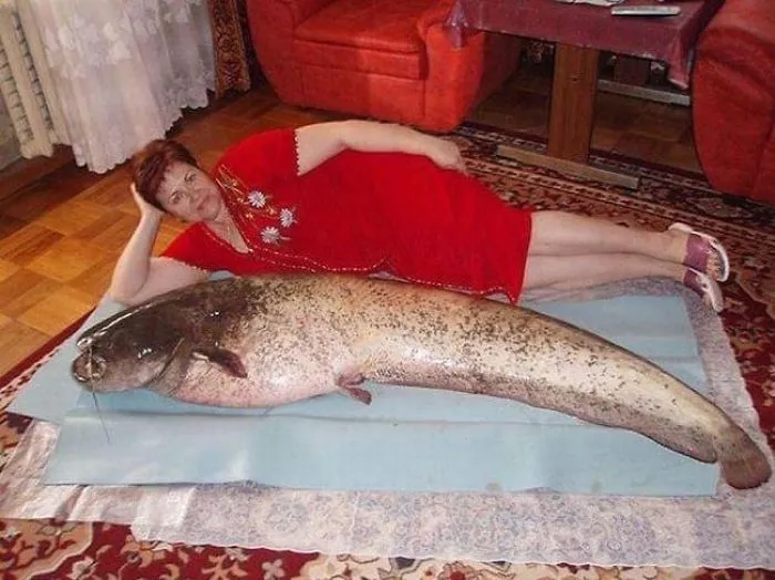 Somewhere In Russia