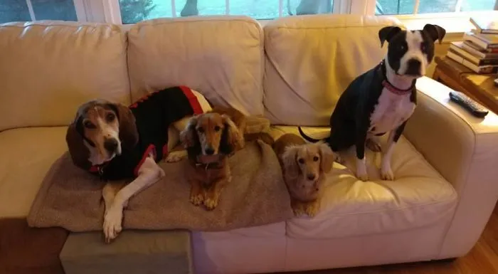 Mom, Mom, Hey Mommmmmm!!!!  We're Waiting For You.