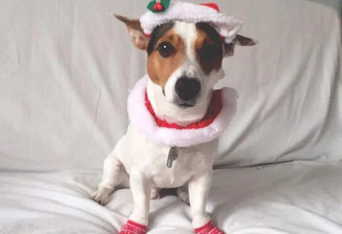 Waiting For Santa