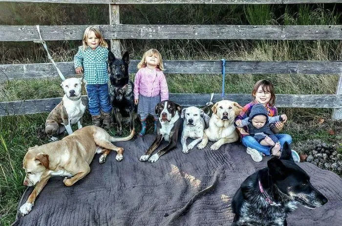A Whole Lot Of Love