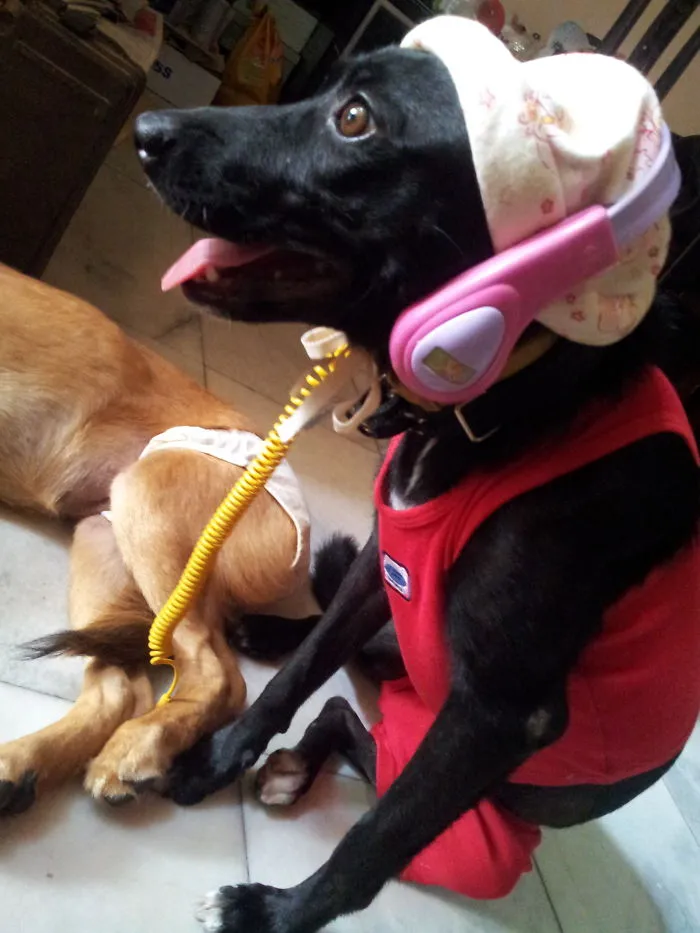Duchess Is Looking Cool...