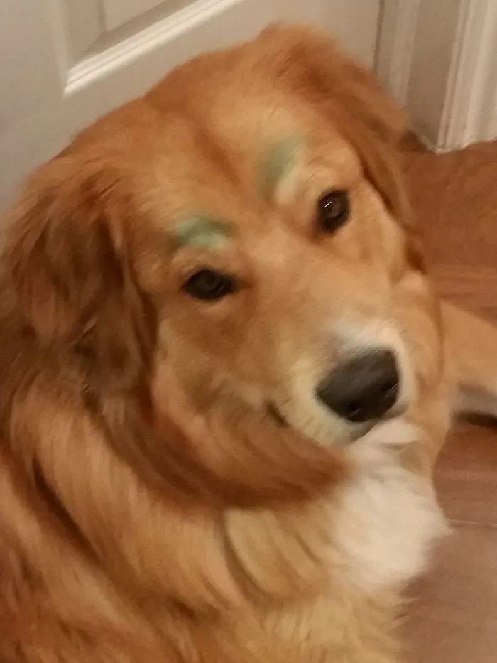 Happy St Patrick's Day