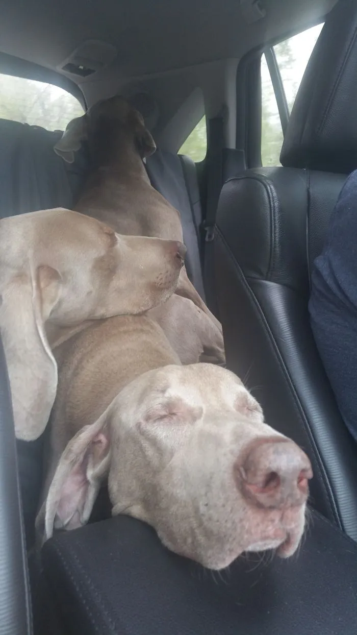 Are We There Yet?