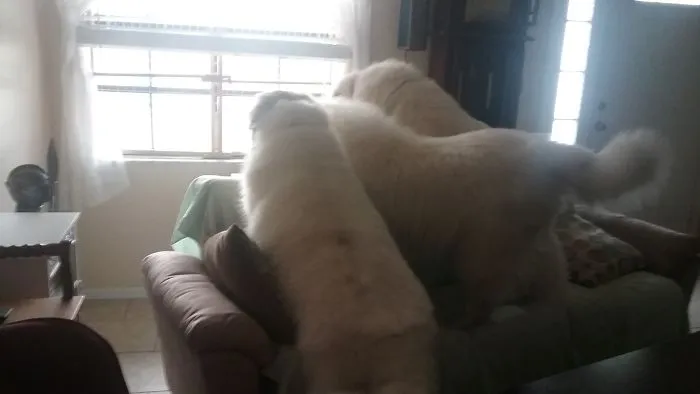 We're Watching You.