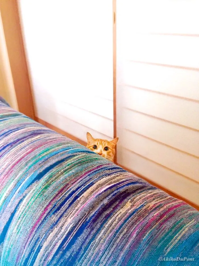 "Hola"