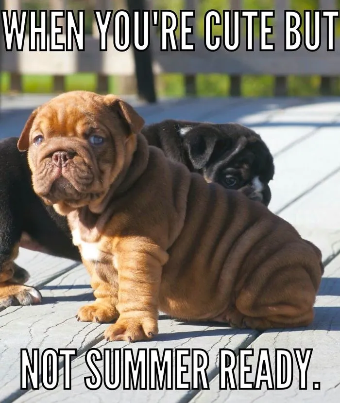 When You're Cute But Not Summer Ready