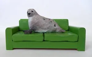 Couches