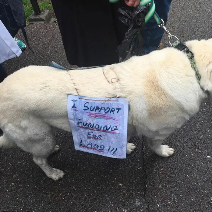 52 Dogs Who Marched For Science, And Totally Saved The World
