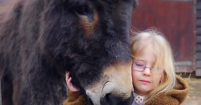 Completely Mute Girl Surprises Everyone When She Tells Her Therapy Donkey These Magical Words