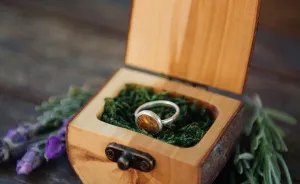 Natural Ring Boxes Made From Fallen Branches