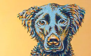 Scf K9's Are  Commission Acrylic Dog Portraits Made With Vibrant Color And Personality For Their Owners And Family!