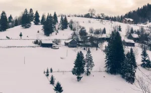 Beautiful Winter Around Us