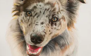 I Do Stylized Photorealistic Time Lapse Drawings
