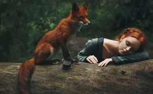 Two Foxes Meet Together