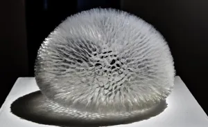 Common Objects Transformed Into Works Of Art