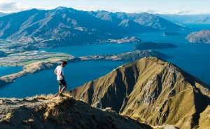 I Just Drove 8,000km Around New Zealand And Realized This Country Can't Be Real