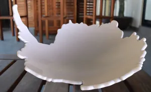 A Bowl Shaped Like Antarctica That Fights Climate Change
