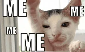 Spca Turns Adoption Announcements Into Gif Memes