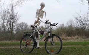 I Gave New Life For A Skeleton