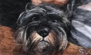 You Won't Believe What These Pet Portraits Are Made With!