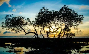I Photographed The Beauty Of Andaman Islands
