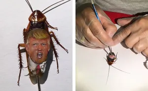 I Painted Donald Trump And Vladimir Putin On Real Cockroaches