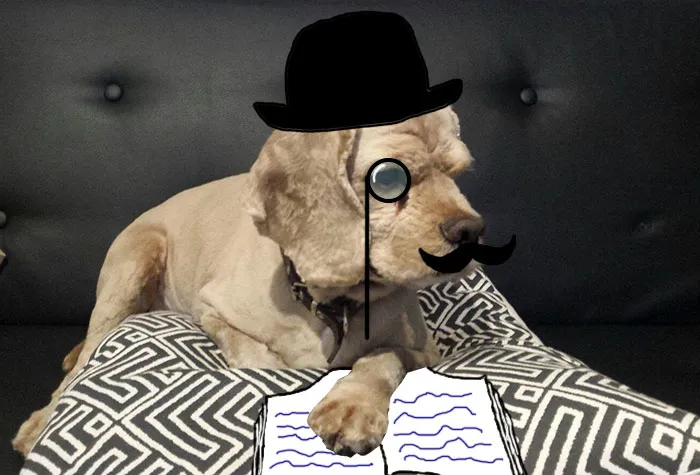 Mr. Cocker