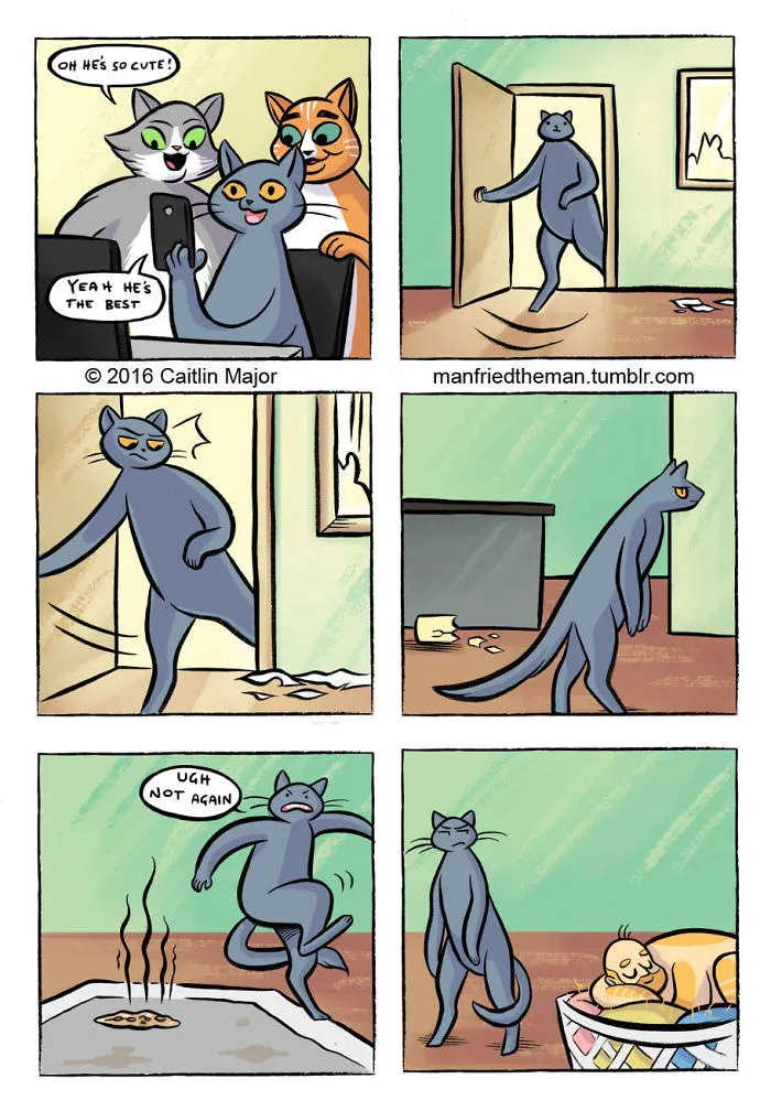 30 Comics Showing What Would Happen If Cats And Humans Switched Roles