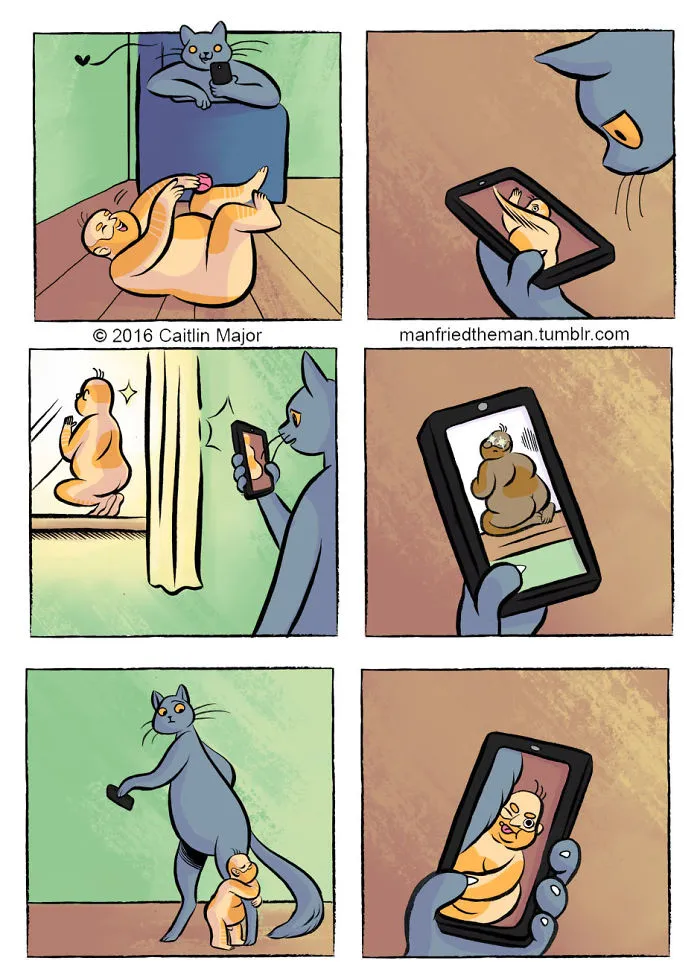 10+ Cómics que muestran lo que pasaría si gatos y humanos se intercambiaran