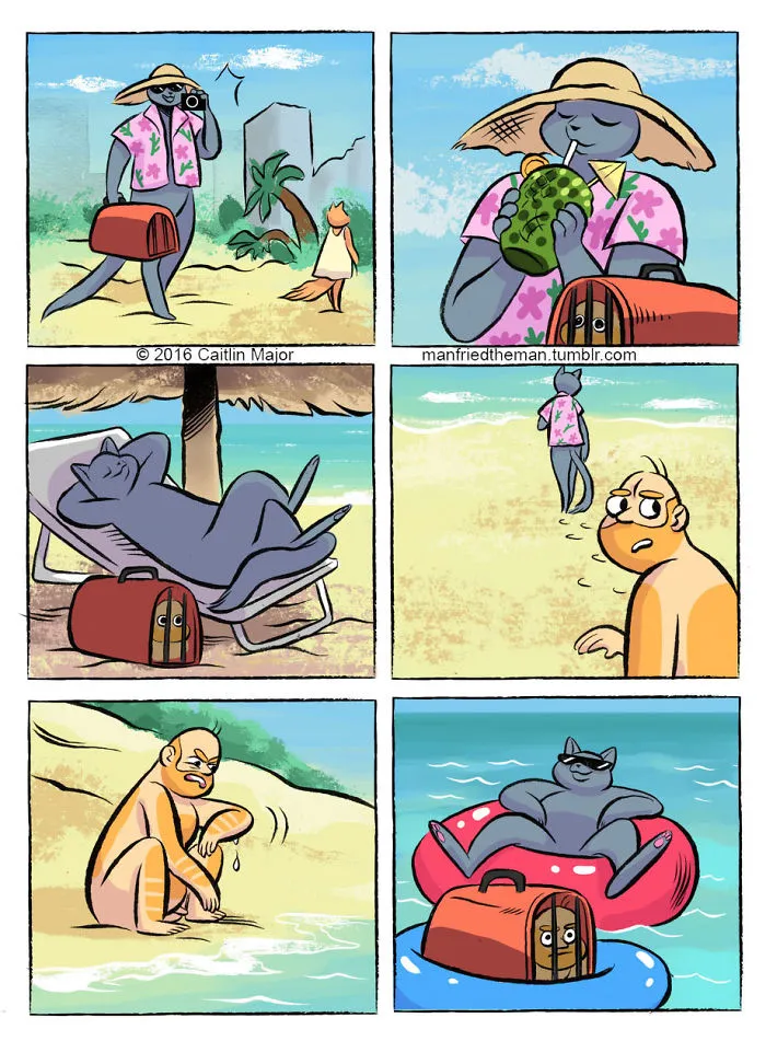 10+ Cómics que muestran lo que pasaría si gatos y humanos se intercambiaran