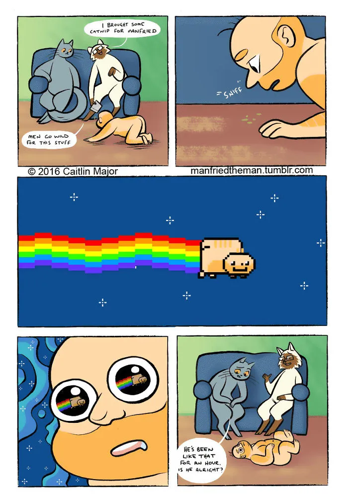 30 Comics Showing What Would Happen If Cats And Humans Switched Roles