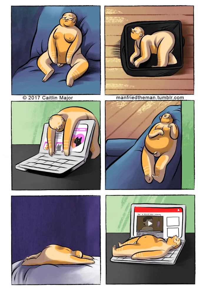 10+ Cómics que muestran lo que pasaría si gatos y humanos se intercambiaran