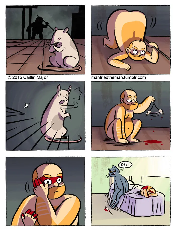 10+ Cómics que muestran lo que pasaría si gatos y humanos se intercambiaran