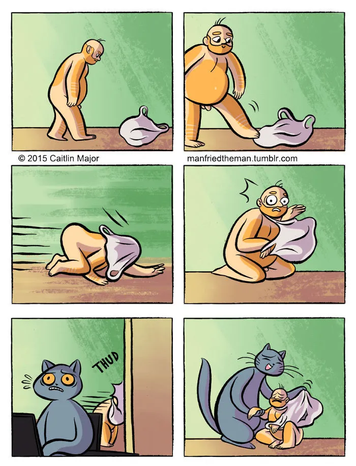 10+ Cómics que muestran lo que pasaría si gatos y humanos se intercambiaran