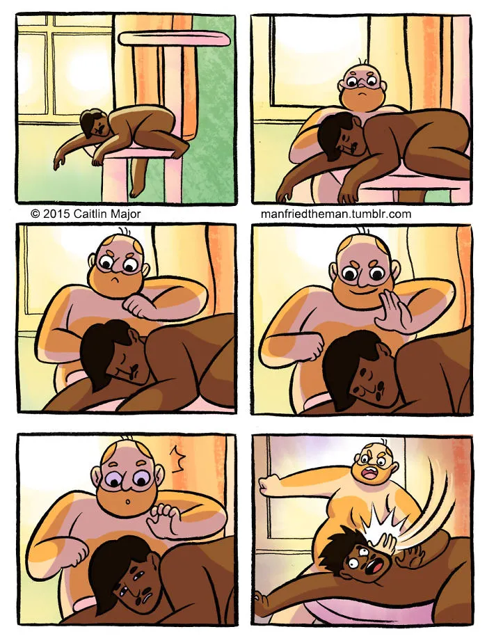 10+ Cómics que muestran lo que pasaría si gatos y humanos se intercambiaran