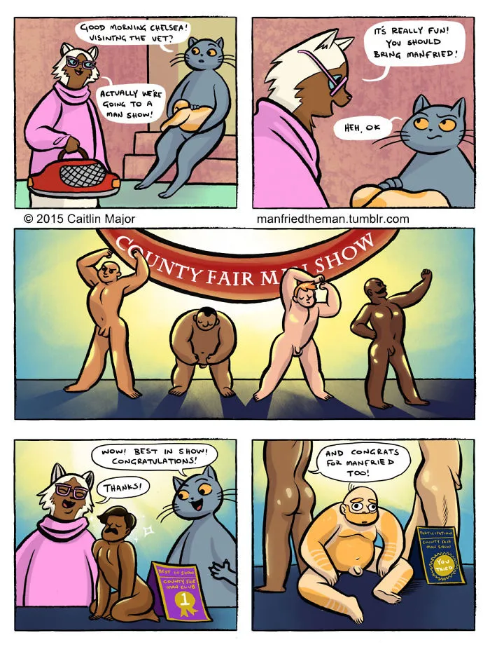 30 Comics Showing What Would Happen If Cats And Humans Switched Roles