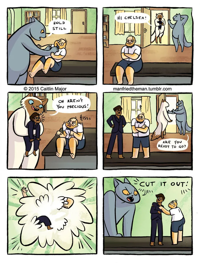 30 Comics Showing What Would Happen If Cats And Humans Switched Roles