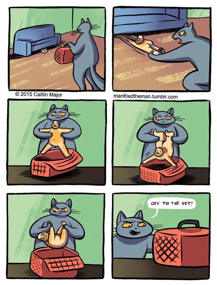 30 Comics Showing What Would Happen If Cats And Humans Switched Roles