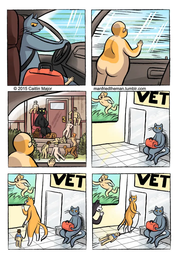 10+ Cómics que muestran lo que pasaría si gatos y humanos se intercambiaran