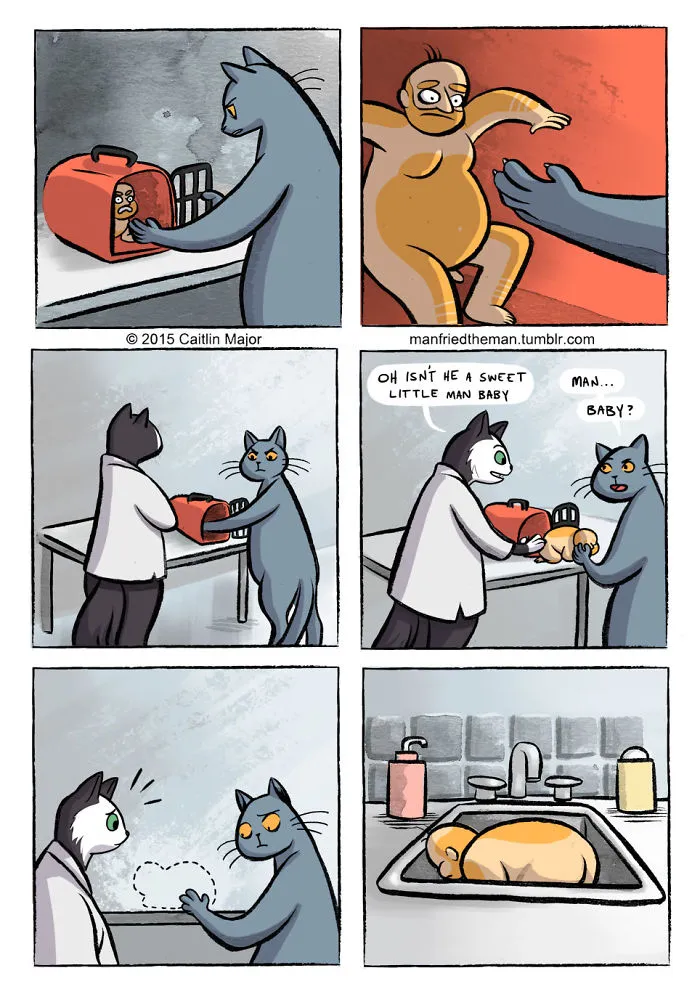 30 Comics Showing What Would Happen If Cats And Humans Switched Roles
