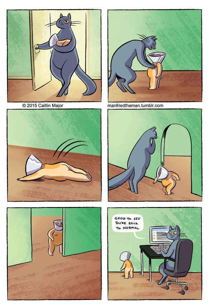 30 Comics Showing What Would Happen If Cats And Humans Switched Roles